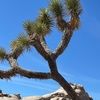 kttravel16